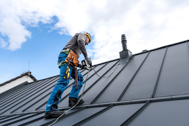 Best Skylight Installation and Repair  in Grayling, MI